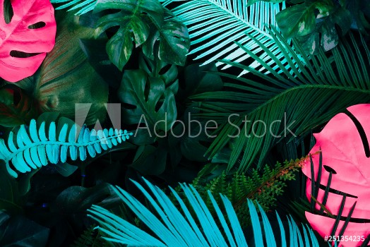 Bild på Creative fluorescent color layout made of tropical leaves Flat lay neon colors Nature concept